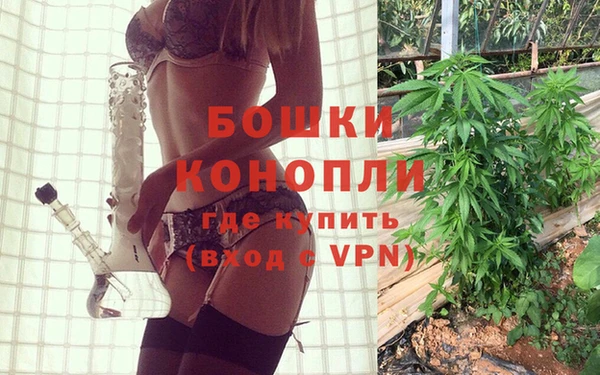 эйфоретик Белокуриха