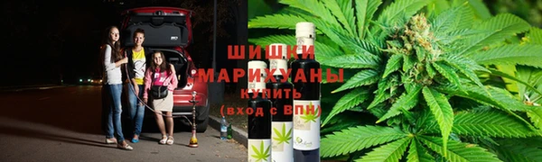 эйфоретик Белокуриха