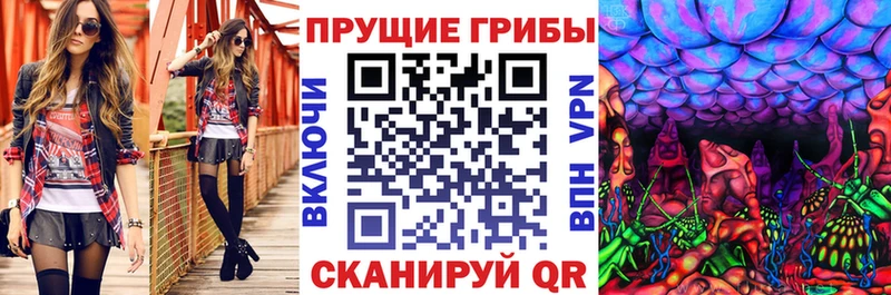 Псилоцибиновые грибы прущие грибы закладка Болгар